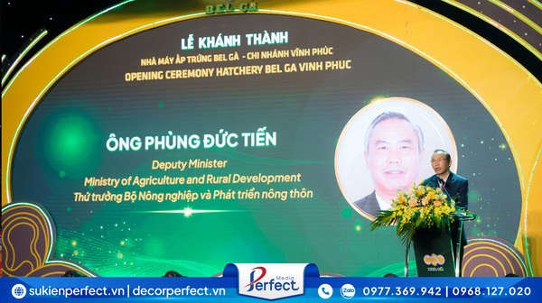  - Công Ty TNHH Một Thành Viên Truyền Thông Và Tổ Chức Sự Kiện Perfect Media